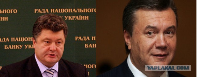 Народ Украины негодует