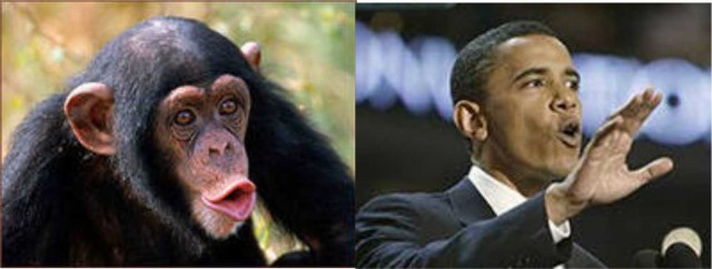 Они нашли себя