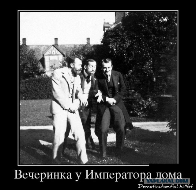 Немного смешных картинок из сети