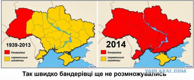 Лидеры ополчения пообещали освободить всю Украину