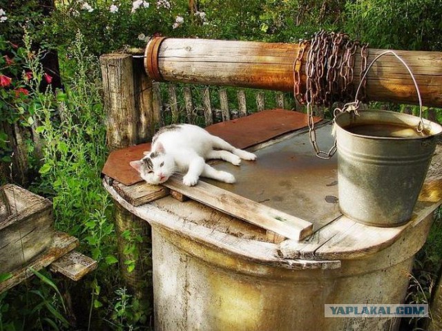 Приуныла