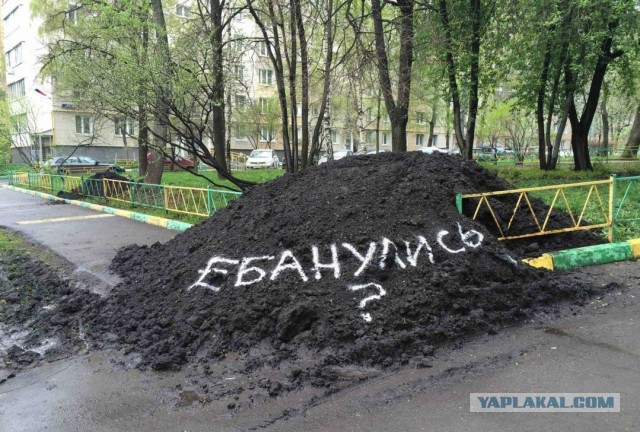 Картинки разные