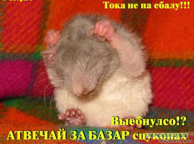 Грандиозный погром