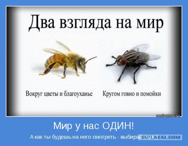 Ура! Сегодня трезвая пятница!