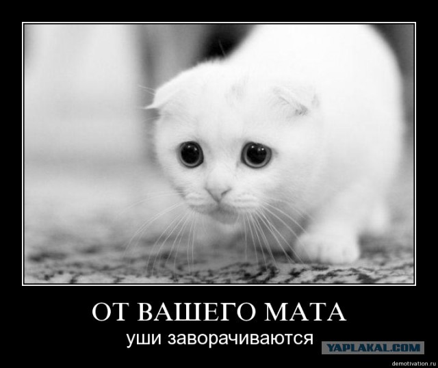 Украинская свадьба, второй день. Строго +18