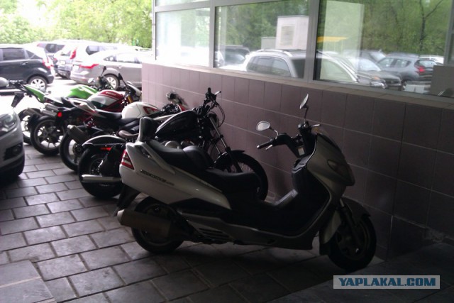 На тему мототоксикоза