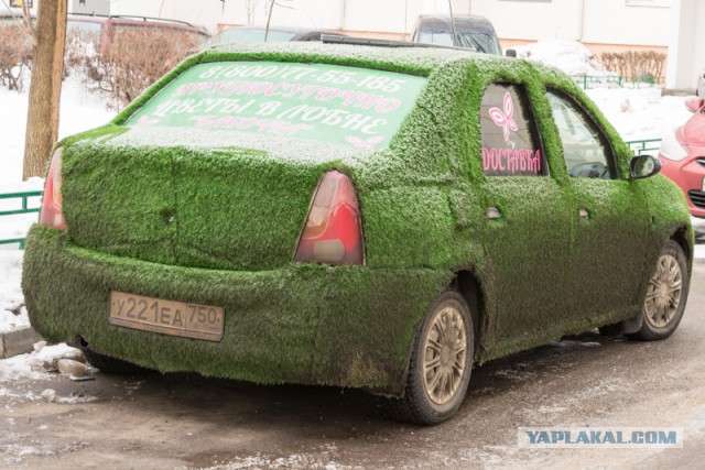 С первым днем весны из Симферополя!