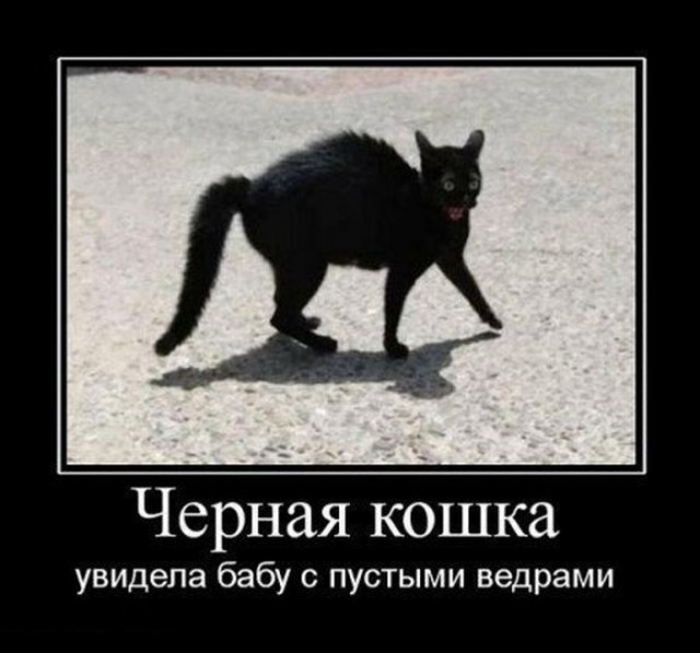 Майский черный юморок