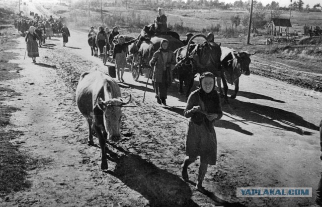 Фотографии к "Нахальному минированию" и "Лехе"