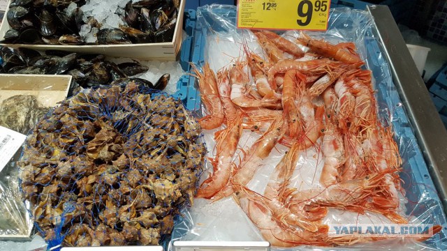 Настоящая Испания изнутри: на местный рынок за продуктами