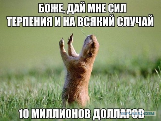 Подборка интересных и веселых картинок