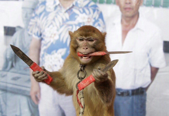 Подборка интересных и веселых картинок