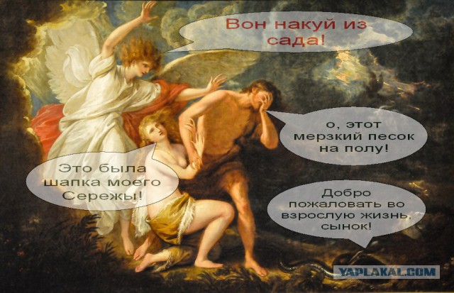 Про глаза, говно и мех