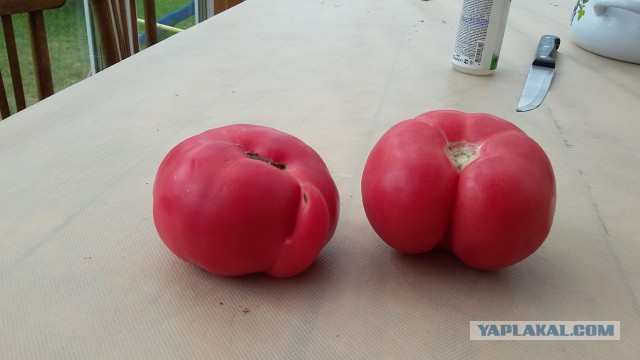 Почему не падает вертолёт?