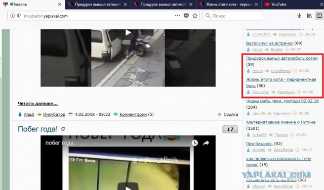 Придурок вымыл автомобиль котом