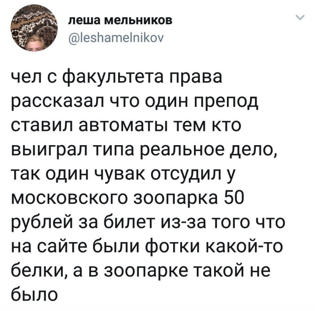 Смешные комментарии из социальных сетей 16.02.2018