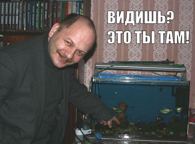 Wargaming 53