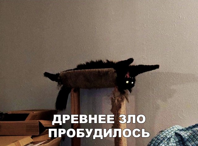 Немного милоты