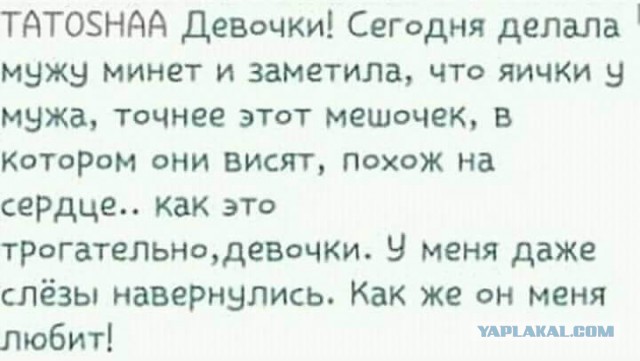 Чернушка-чернучшечка-чернушенция