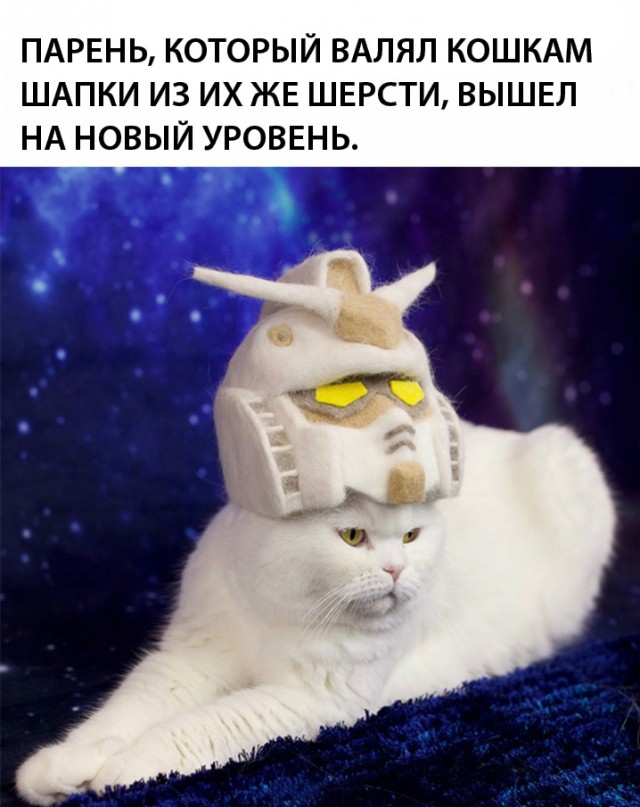 Немного картинок в этот четверг