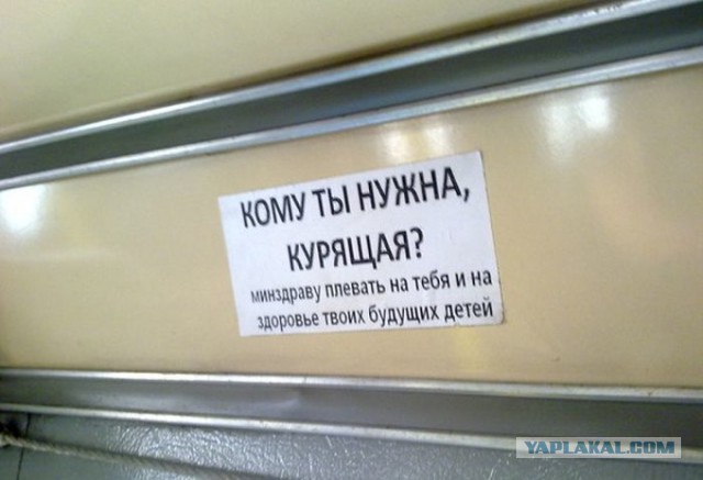 Немного картинок в это воскресенье