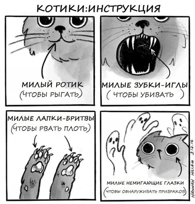Картинки разные нужны, картинки всякие важны