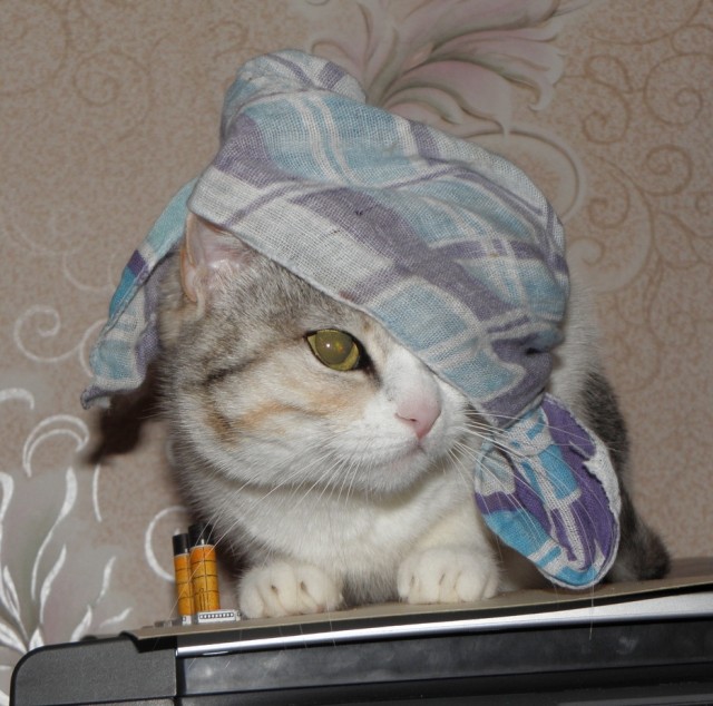 Котовторник 13.12.11 - магическе числа