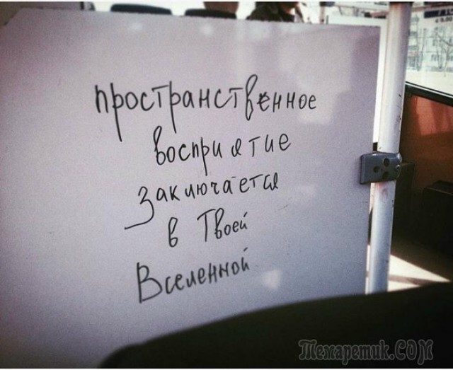 «Бродячие» философы: 17 глубокомысленных заметок в транспорте и на улицах