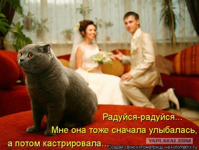 Суровая правда, почему женщины отказывают хорошим мужчинам, а потом страдают и выходят замуж за неудачников