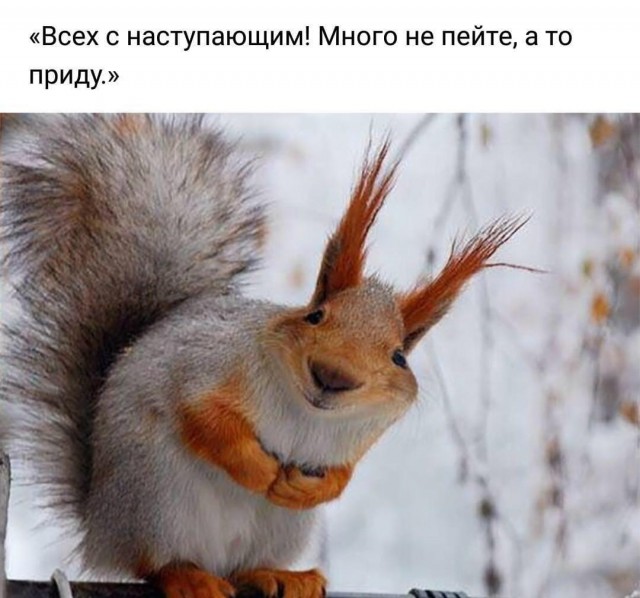 Дорогие ЯПовцы, неЯПОвцы, сочувствующие и просто читающие мимоходом - с наступающим 2020-м годом!
