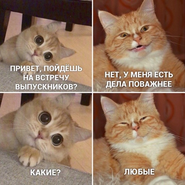 Почему все же не стоит ходить на вечера встреч одноклассников