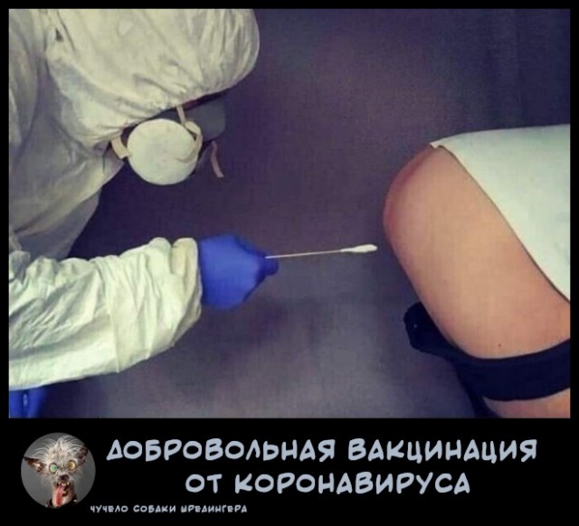 Картинки из рабочего чата 09.12.20