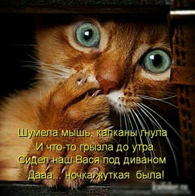 Кучка картинок из недр интернета