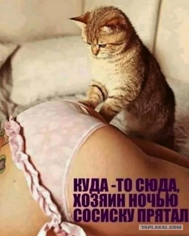Весёлый полтишок 15.03