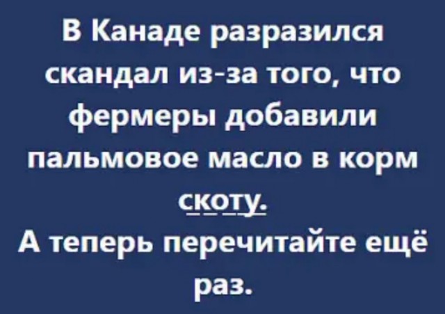 Бредзона 18.03.21
