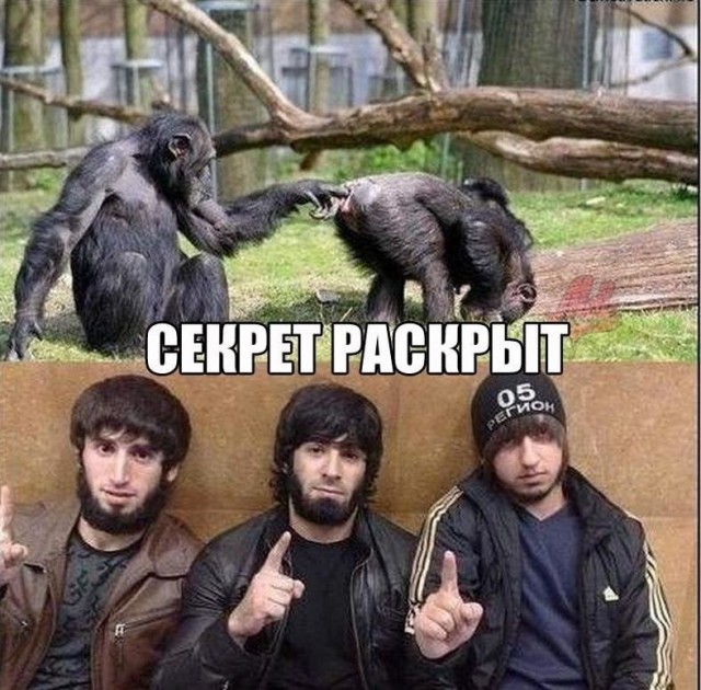Москвичей возмутила  карикатура на московское метро