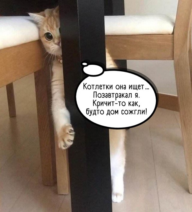 Так себе картинки 31.03.22