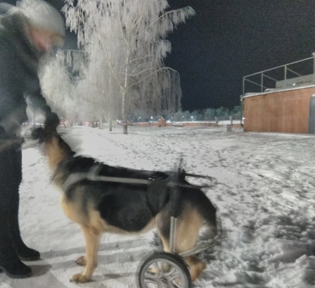 "Я обнимал своего лучше друга"