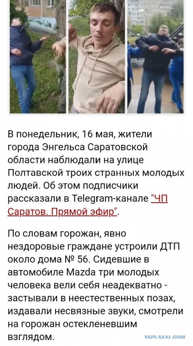 Облолбыши