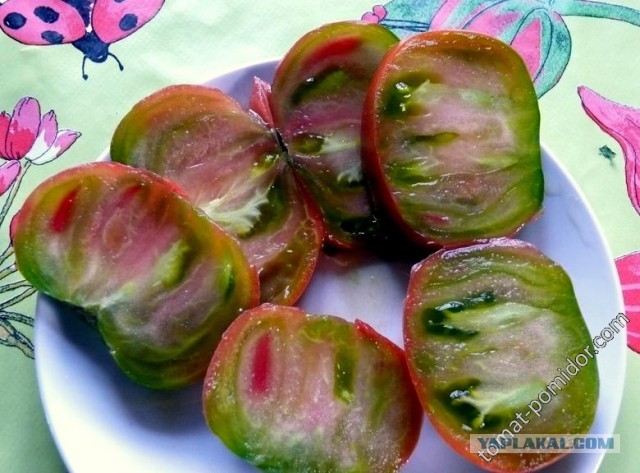 Куда пропали вкусные помидоры