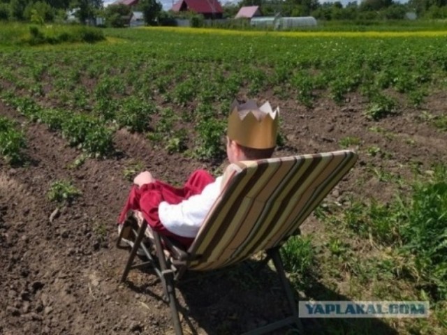 Чуток картNнок в понедельник