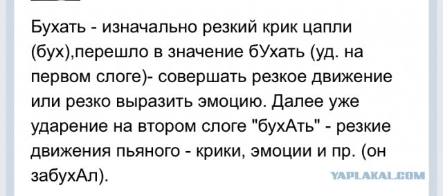 Полицейские задержали журналиста за призыв к Медведеву перестать бухать