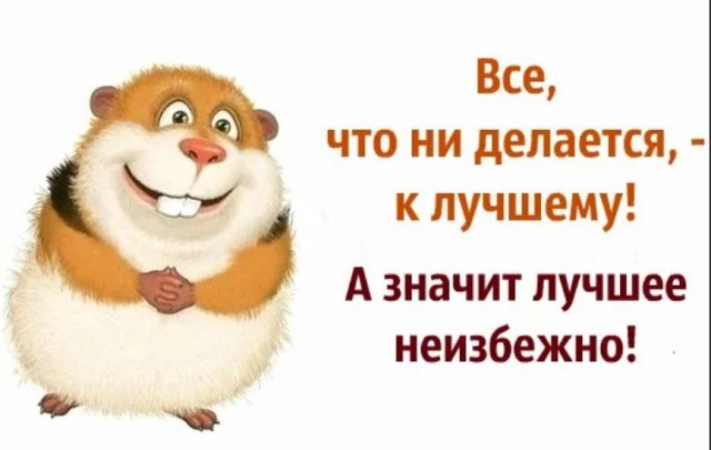 Пандемия съехавших крыш - разновидности болезни. Россия и мир. Часть 41.