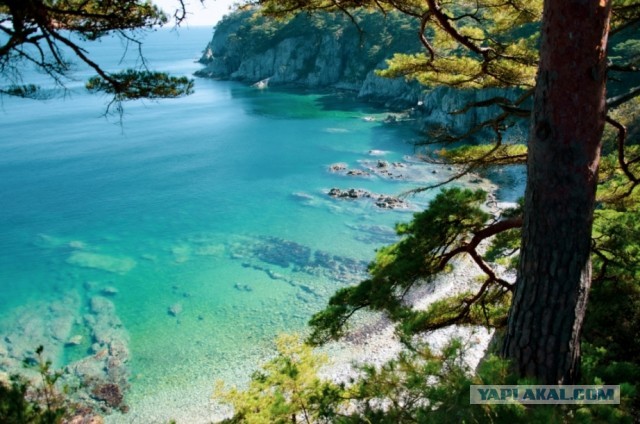Поделимся красивыми фото с телефона?