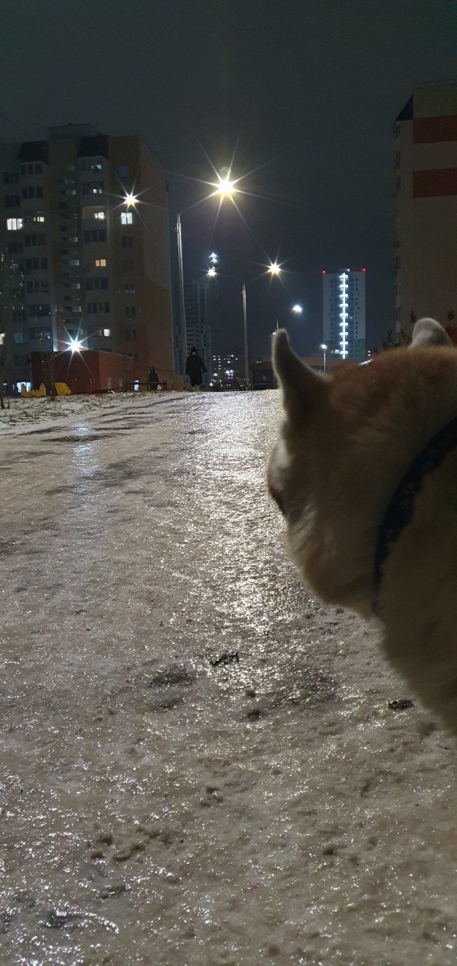 Дикий русский обычай, о котором написал Горький, а зарисовал для потомков ученик Репина
