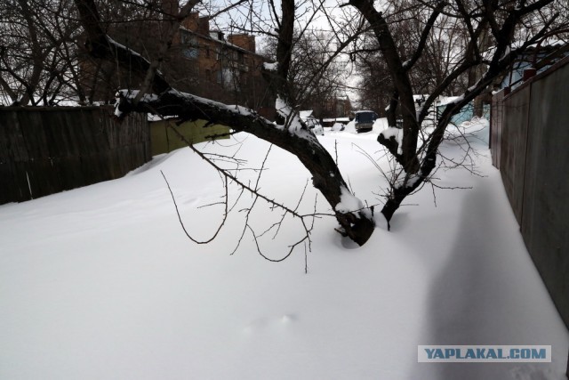 23 марта. Киев. Весна.