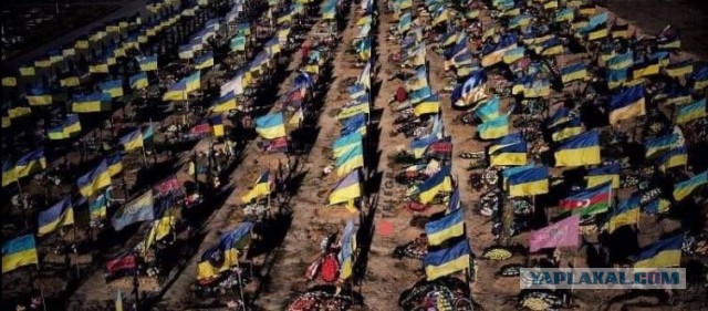 В Мурманске посмертно наградили орденом Мужества погибшего Сергея Морякова