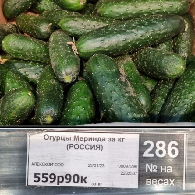 "Ценовой сговор?" В Госдуме возбудились огурцами
