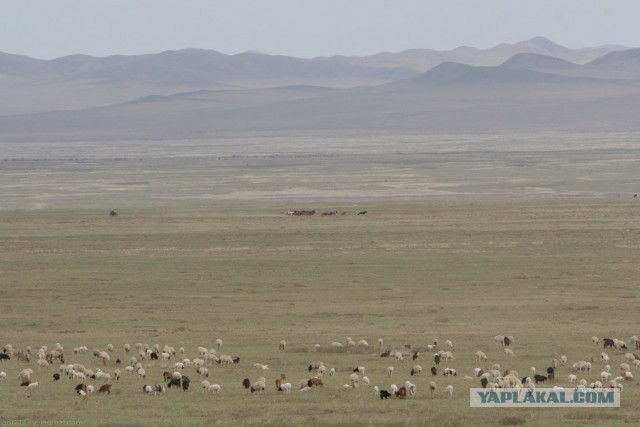 В Монголию на мотоциклах 2006