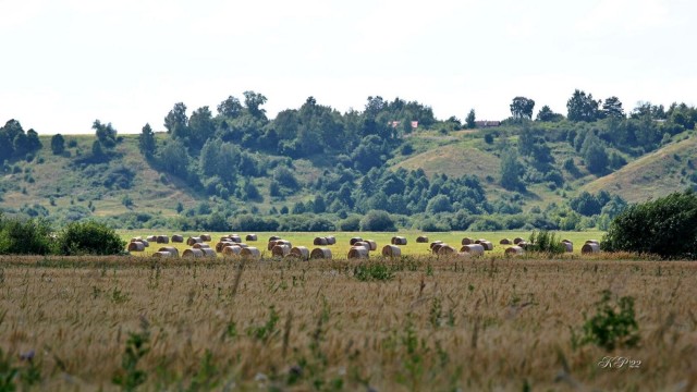 Аромат русской деревни...
